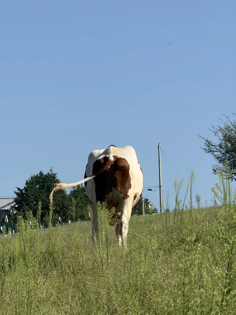 A little countryside escape near Seoul (5/5)