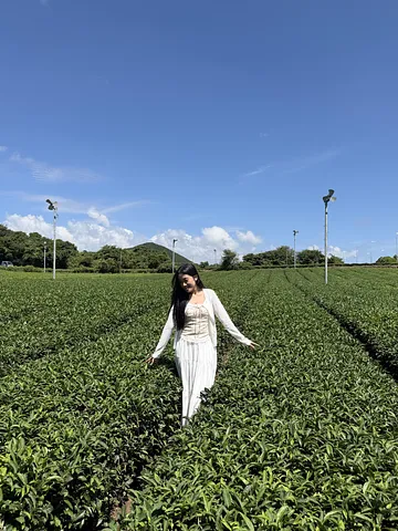 Why You Should Visit Innisfree Jeju House (2/5)