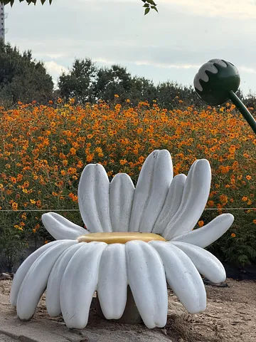 Autumn in Cheongju🌼Munam Ecological Park (3/4)