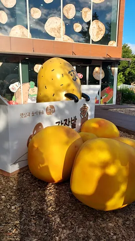 Potato cafe (1/2)