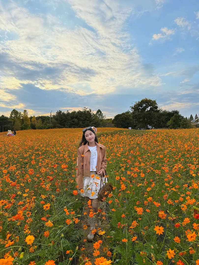 Autumn in Cheongju🌼Munam Ecological Park (4/4)