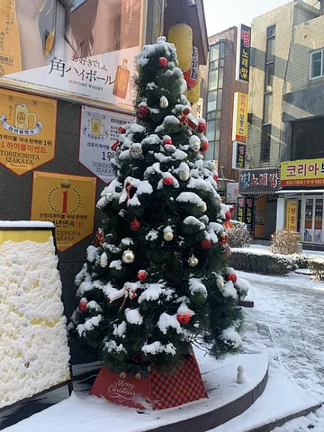 waiting for the first snowfall!
