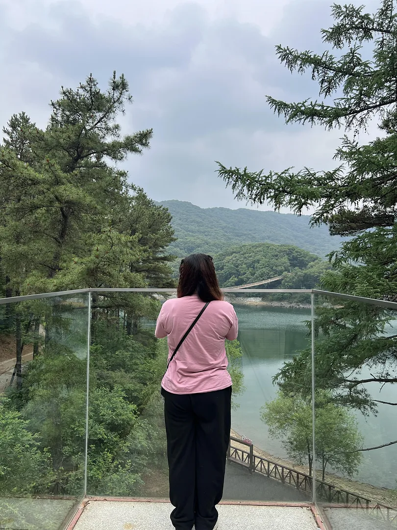 Beauty of Paju (2/2)