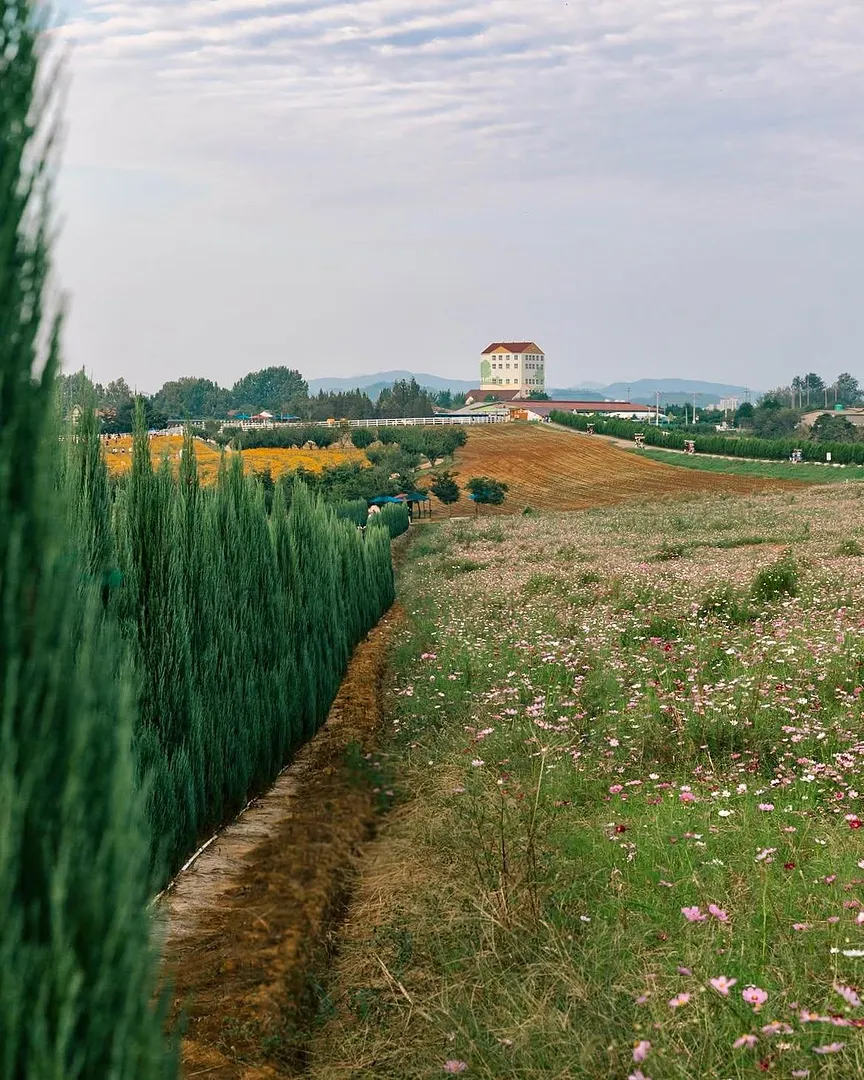 A little countryside escape near Seoul (4/5)