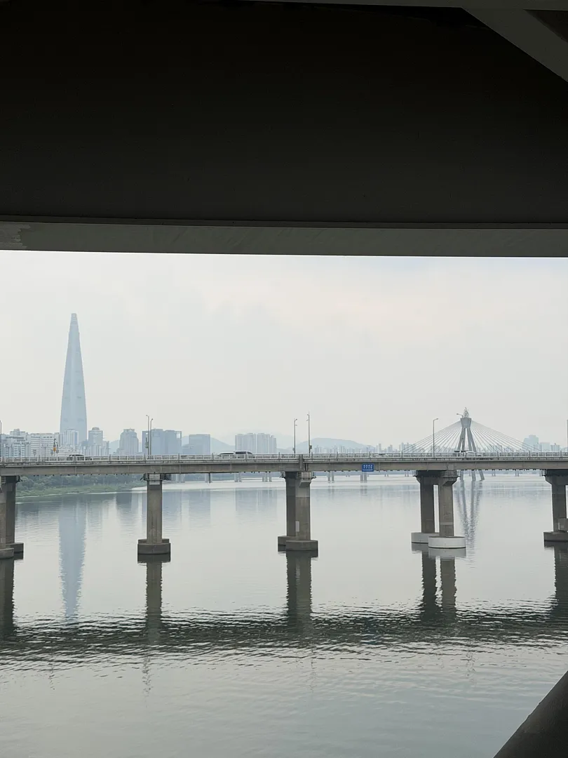 Gwangjin Bridge 8th Avenue (4/5)