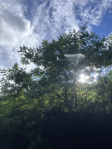 Perfect place to relax  (4/4)