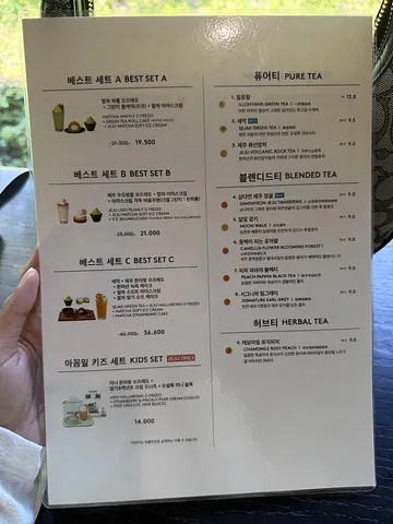  **OSULLOC TEA MUSEUM Jeju’s Matcha Paradise (5/5)