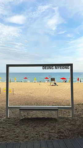 A Hidden Beach in Korea Where Trains Meet the Sea (1/3)