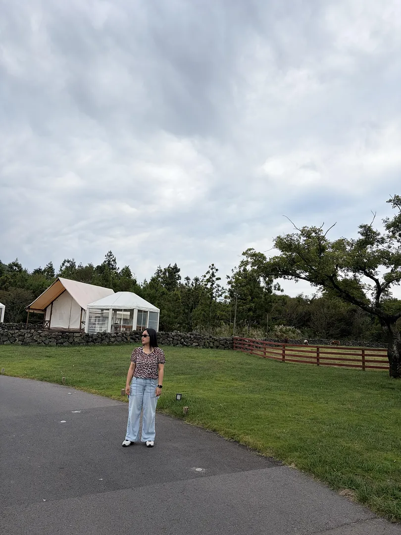Starville Jeju (1/3)