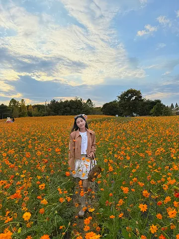 Autumn in Cheongju🌼Munam Ecological Park (4/4)