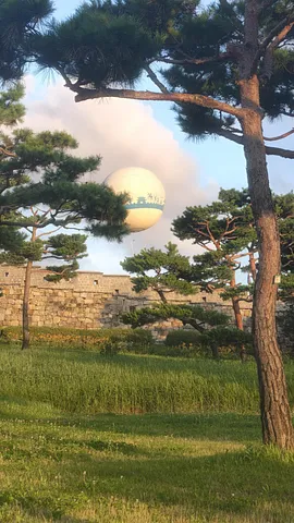 Flying Suwon (1/3)