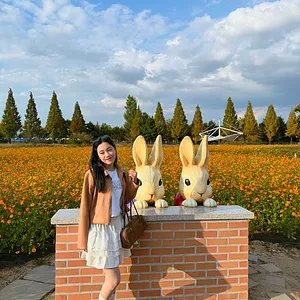 Autumn in Cheongju🌼Munam Ecological Park
