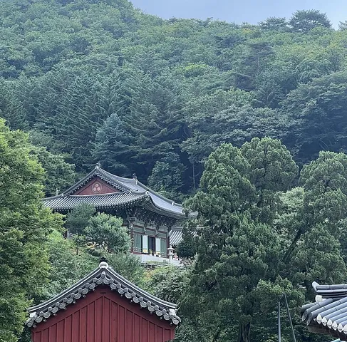 Perfect escape to a busy Seoul (3/5)