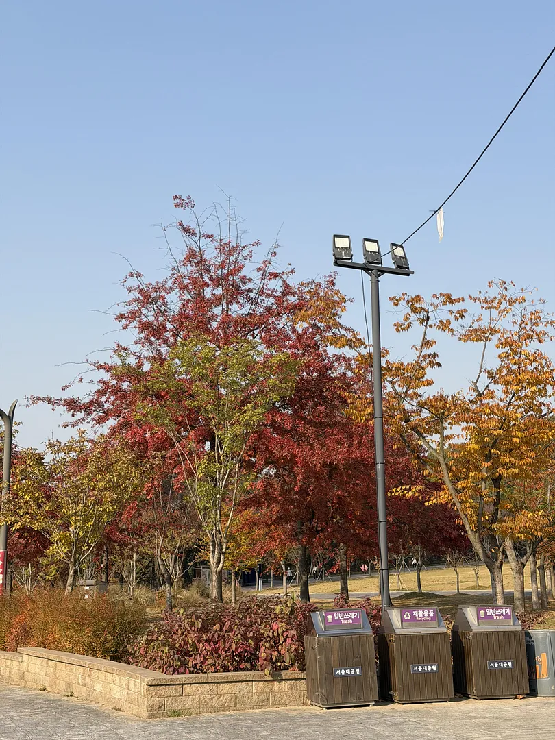 Why Seoul Grand Park Is a Must-Visit in Autumn? (5/5)
