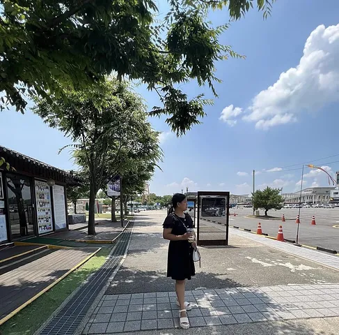 Know more about Korea in Imjingak (5/5)