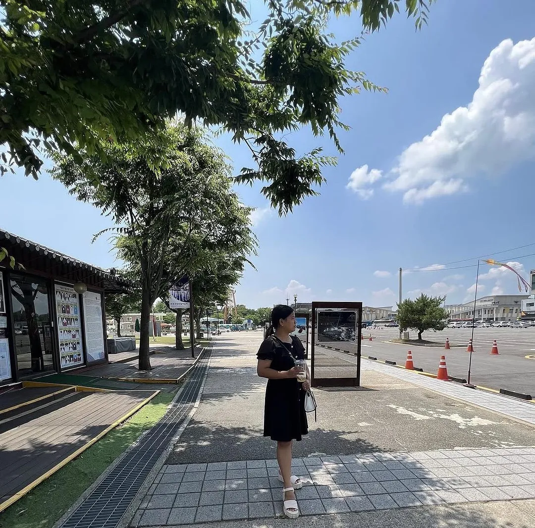 Know more about Korea in Imjingak (5/5)