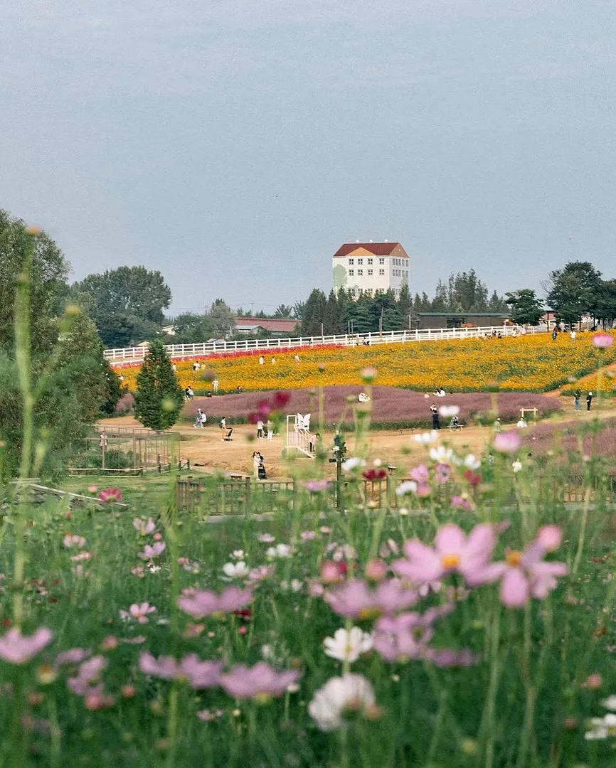 A little countryside escape near Seoul (1/5)