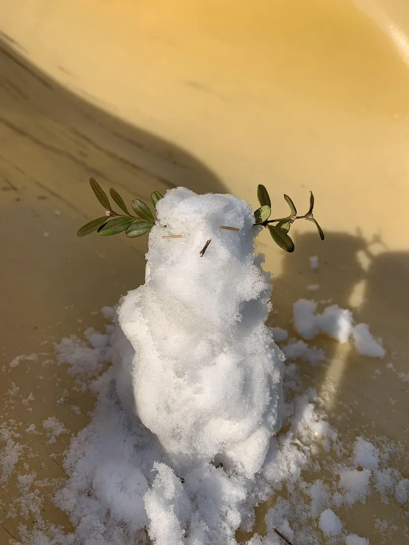 waiting for the first snowfall! (2/5)