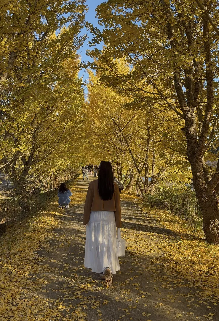 Discover a peaceful autumn escape in Cheongju, South Korea (3/3)