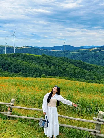 Korea’s Largest Highland Ranch - Daegwallyeong Samyang Ranch (4/5)