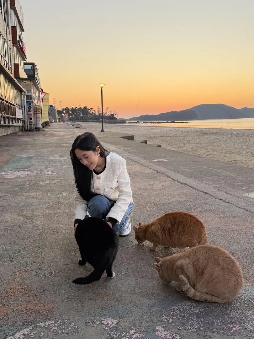 Daebudo Beach in Ansan 🇰🇷 (4/4)