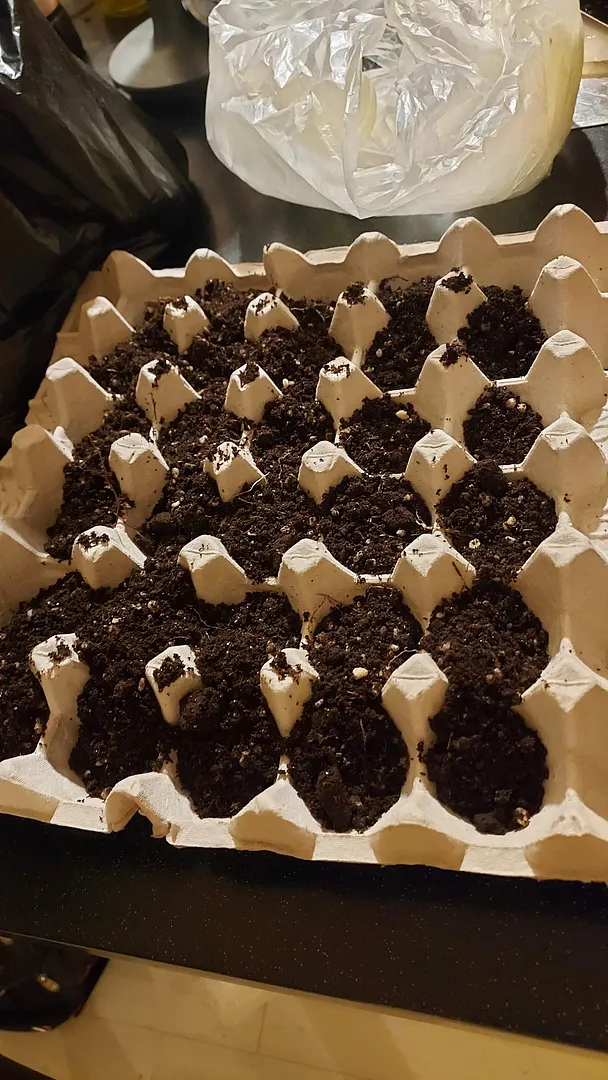 Gardening 