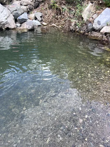 Perfect place to relax  (2/4)