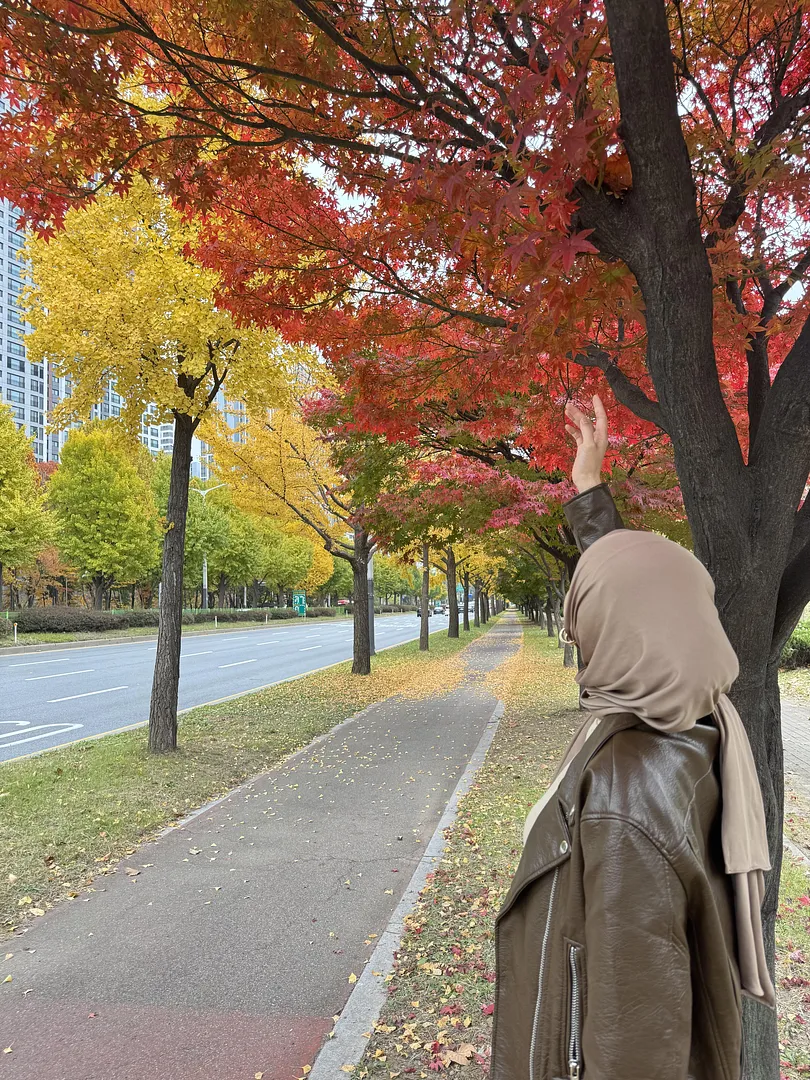 Autumn in Ansan 🍂 (2/3)