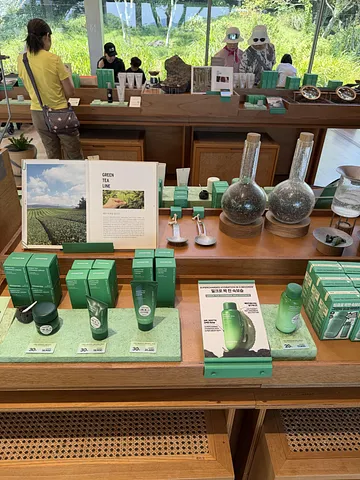 Why You Should Visit Innisfree Jeju House (1/5)