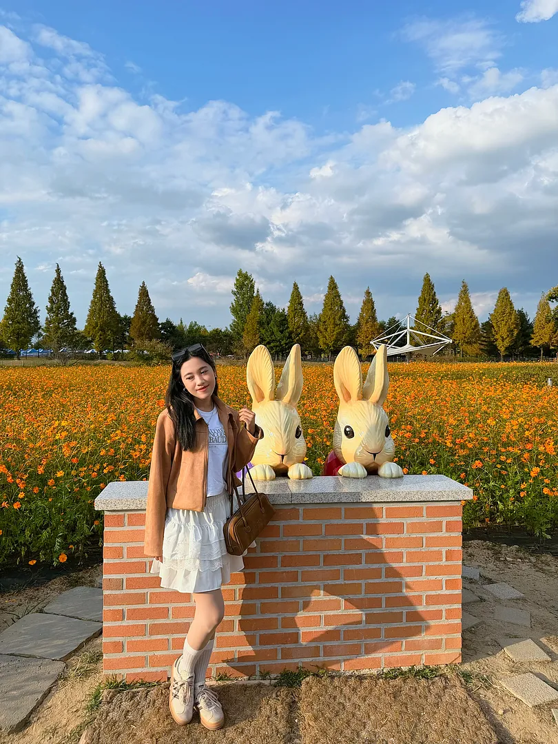 Autumn in Cheongju🌼Munam Ecological Park (1/4)