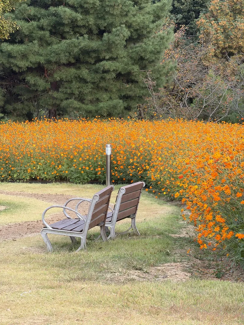 Autumn in Cheongju🌼Munam Ecological Park (2/4)