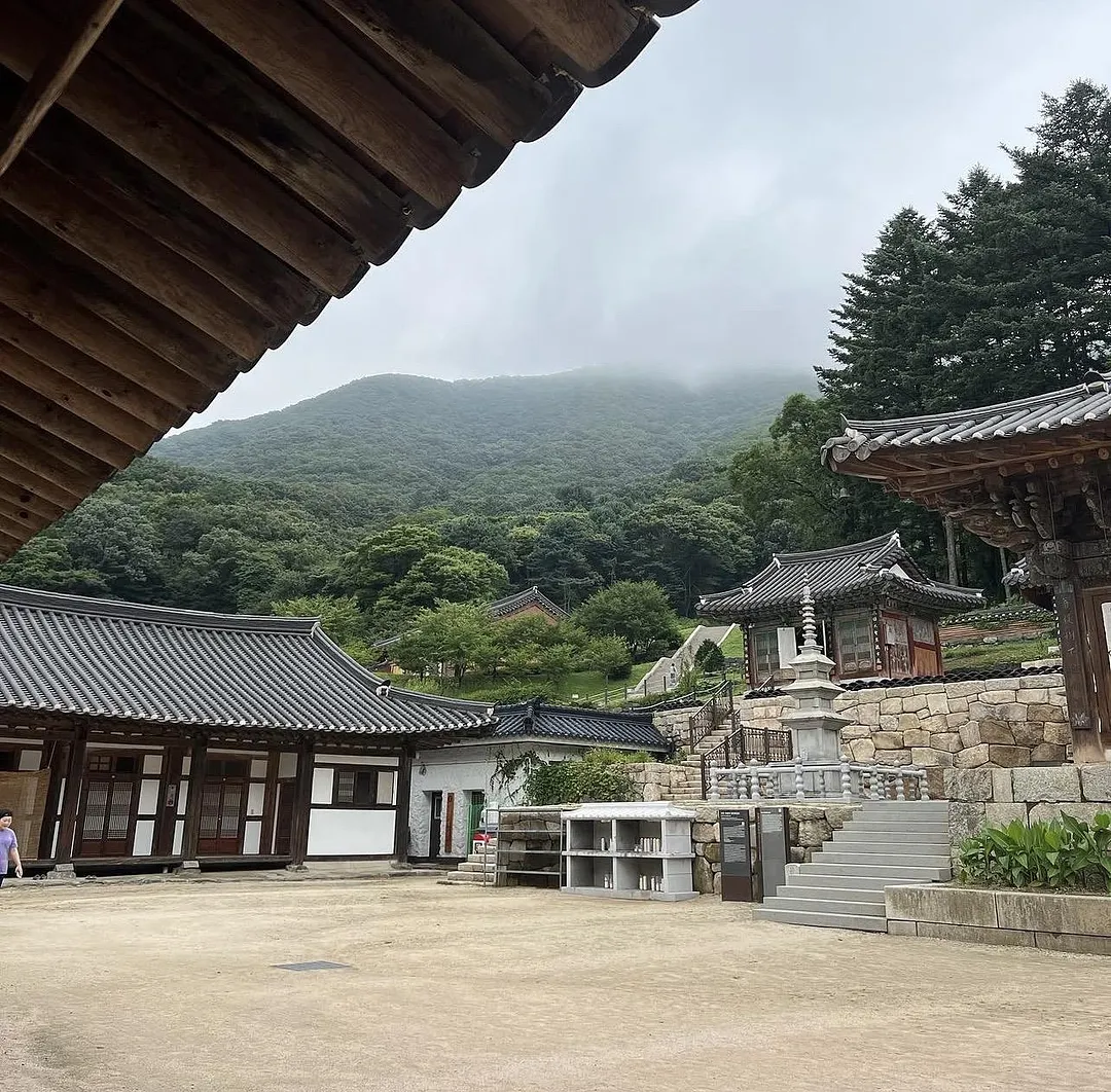 Perfect escape to a busy Seoul (5/5)