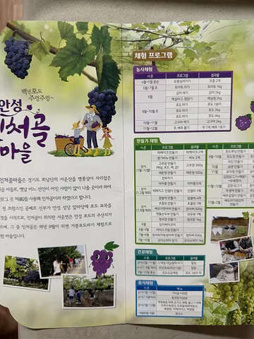 Visit Inchegol Village (인처골마을) (3/4)