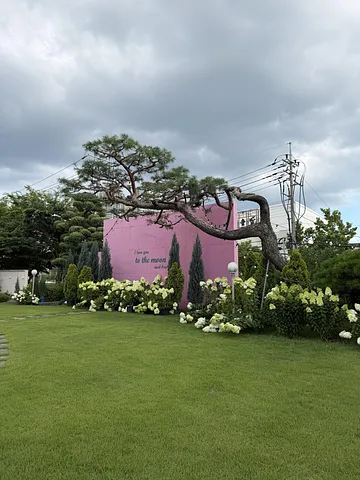 Stepping into a fairytale in Cheongju 💕🇰🇷 (4/5)