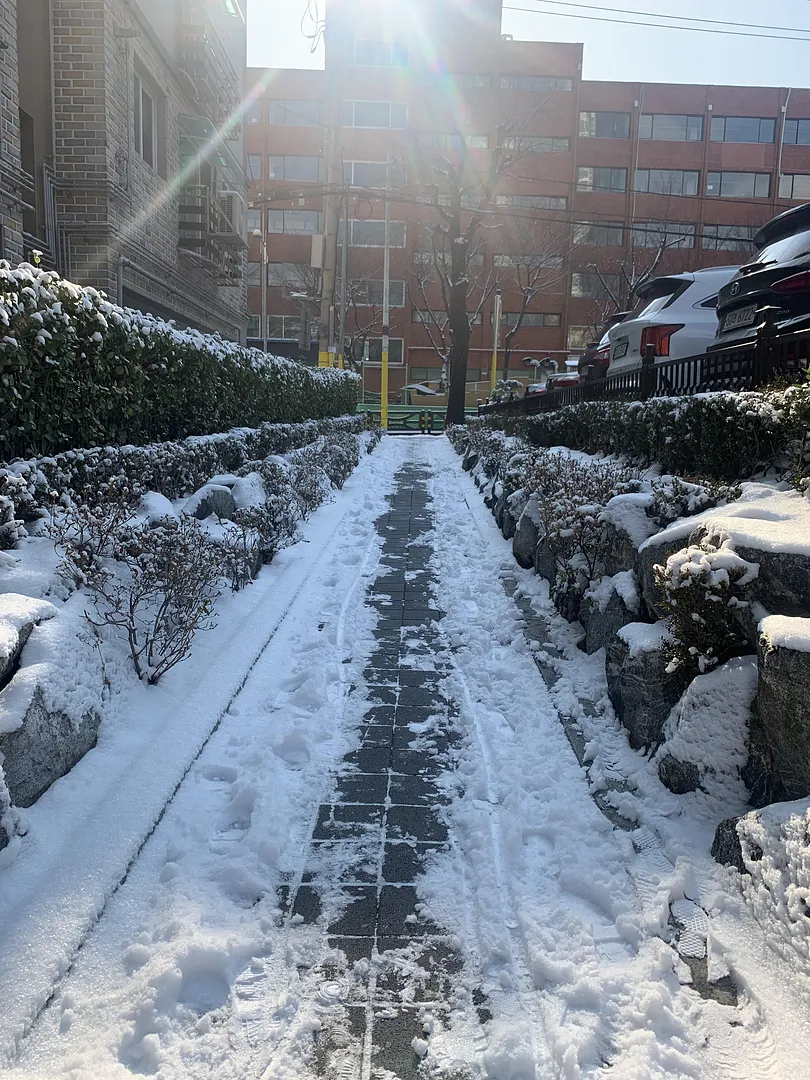 waiting for the first snowfall! (4/5)