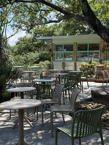 Why You Should Visit Innisfree Jeju House (5/5)
