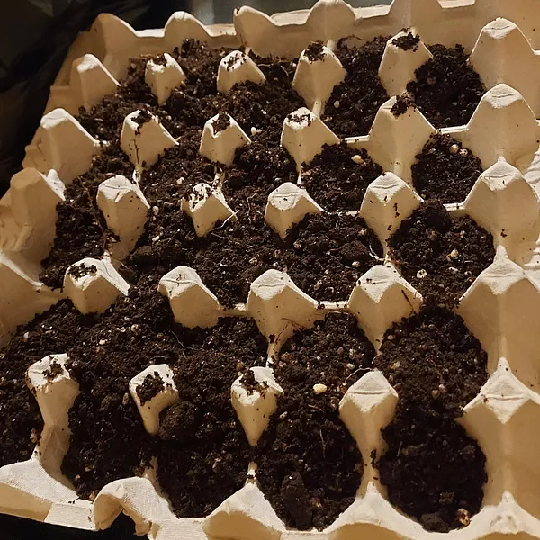 Gardening 
