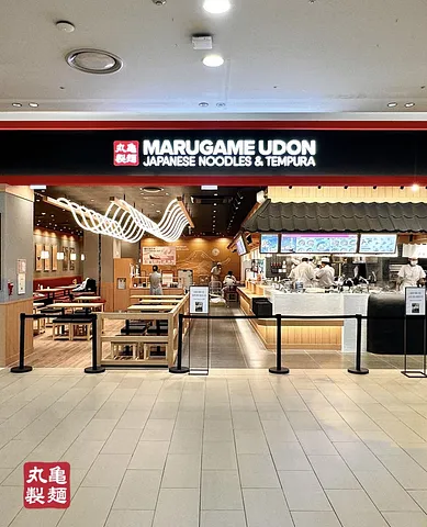 MARUGAME UDON — Japanese Udon That Went GLOBAL  (5/5)
