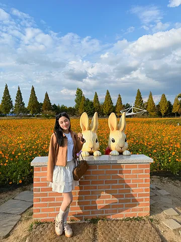 Autumn in Cheongju🌼Munam Ecological Park (1/4)