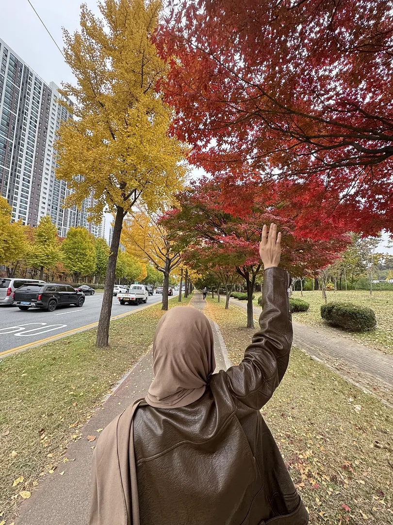 Autumn in Ansan 🍂 (1/3)