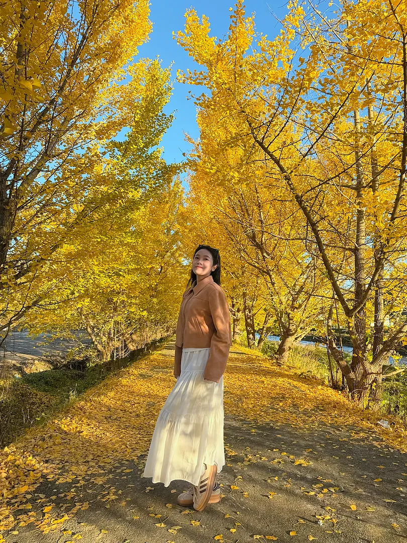 Discover a peaceful autumn escape in Cheongju, South Korea (2/3)