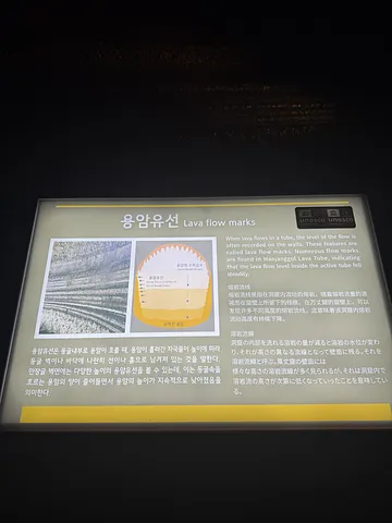 Manjanggul Cave (만장굴) (5/5)