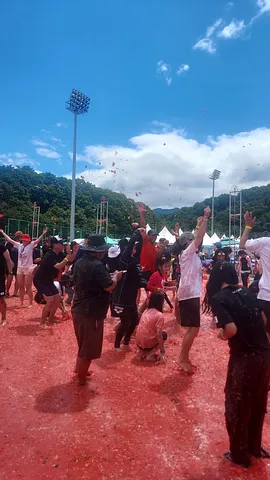 Hwacheon Tomato festival (1/4)