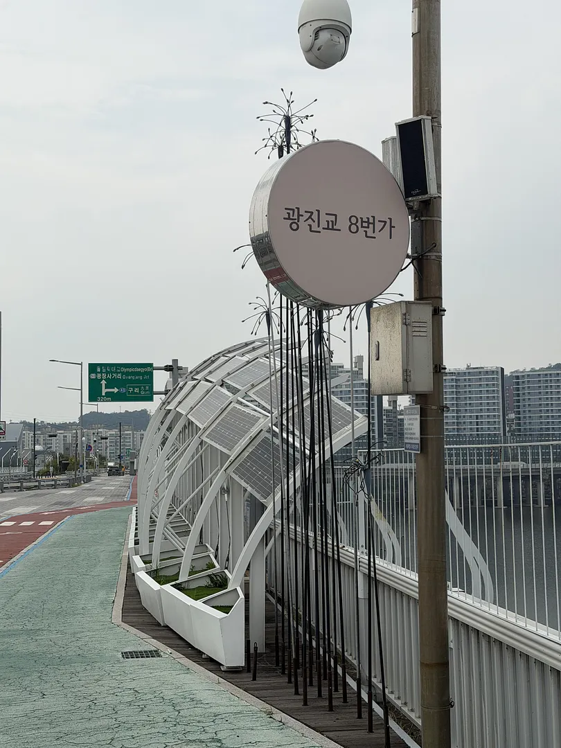 Gwangjin Bridge 8th Avenue (1/5)