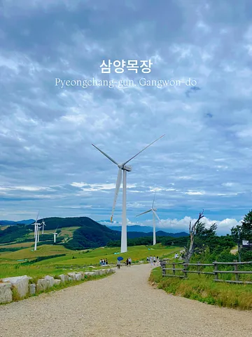 Korea’s Largest Highland Ranch - Daegwallyeong Samyang Ranch (1/5)