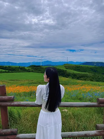 Korea’s Largest Highland Ranch - Daegwallyeong Samyang Ranch (2/5)