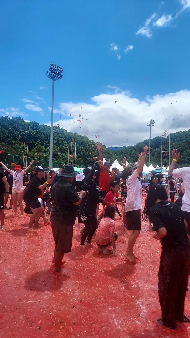 Hwacheon Tomato festival (1/4)