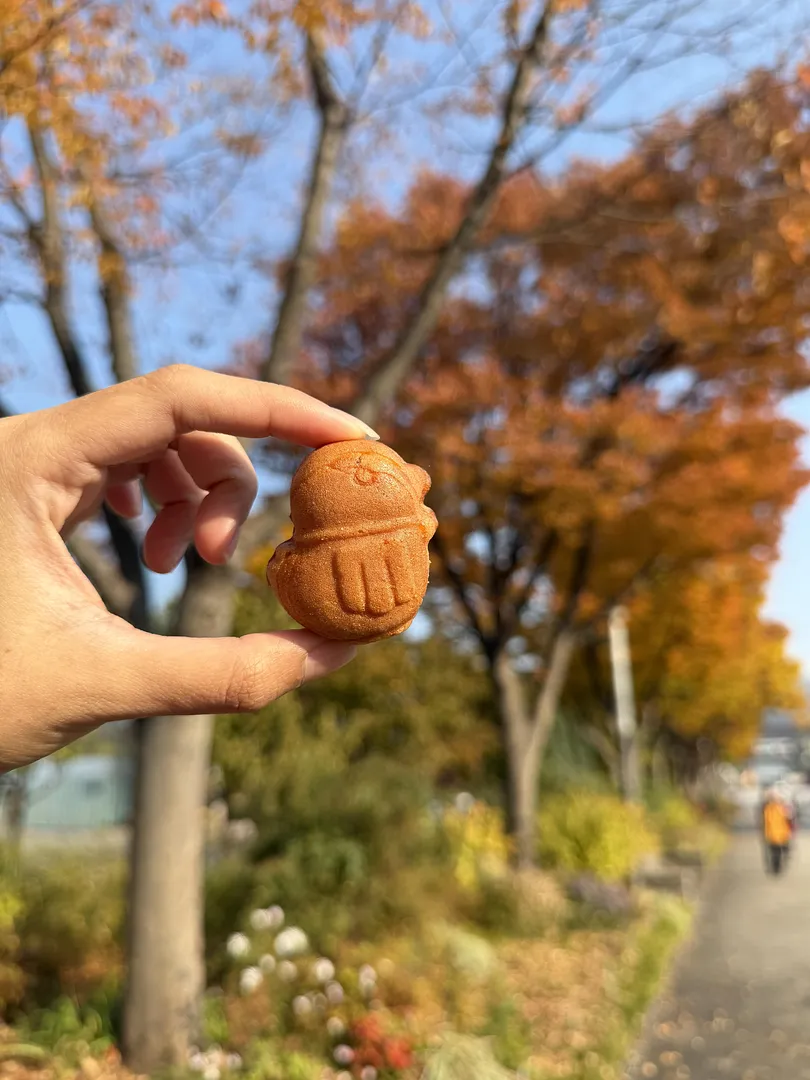 Why Seoul Grand Park Is a Must-Visit in Autumn? (4/5)